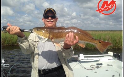 Catching Red Fish and Black Drum in Lafitte / New Orleans Fishing Reports  5/13/2015