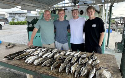August New Orleans Fishing Report